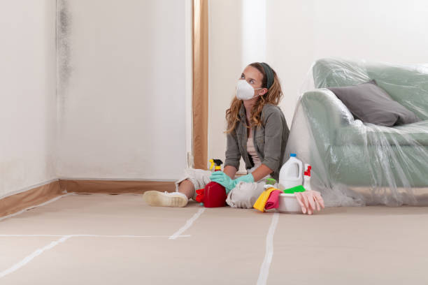 Reliable Mold Remediation contractor in Medford, OR by WQB Mold Removal